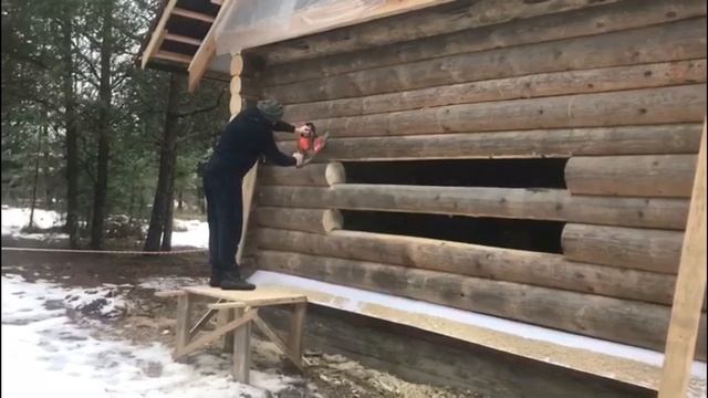 Строительство гостевого домика у нас на участке в г. Тверь смотреть онлайн