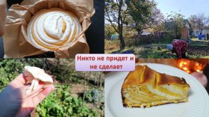 Влог одного дня: Самая осенняя запеканка с тыквой // Работа на участке