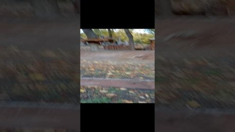 парк.mp4