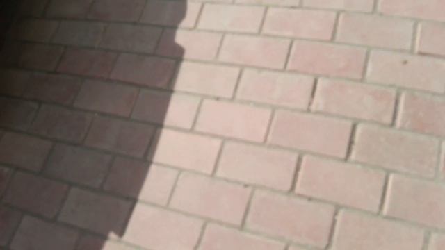 эксперемент откроютли нам дверь с буквы я(1) смотреть онлайн