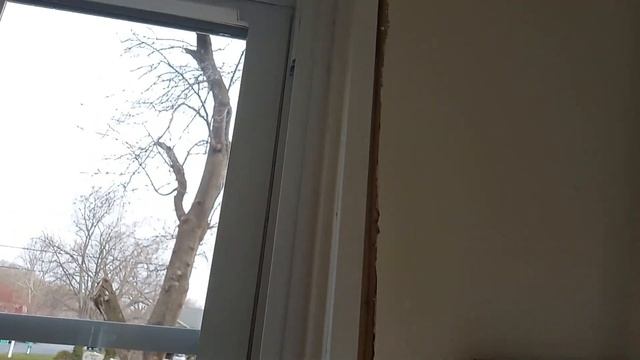 Old Man Augie installs window trim and base boards смотреть онлайн