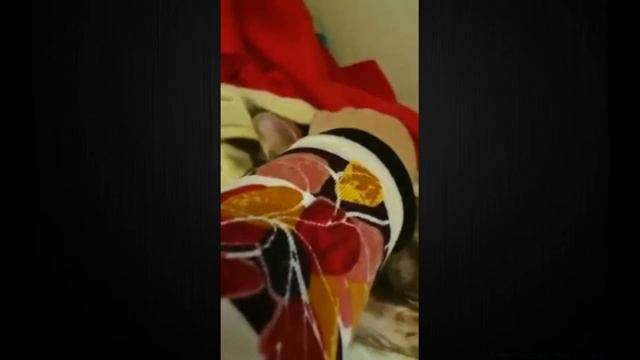 Жизнь мейн-куна Фиксика после операции смотреть онлайн