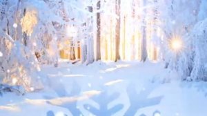 Зима у леса на опушке