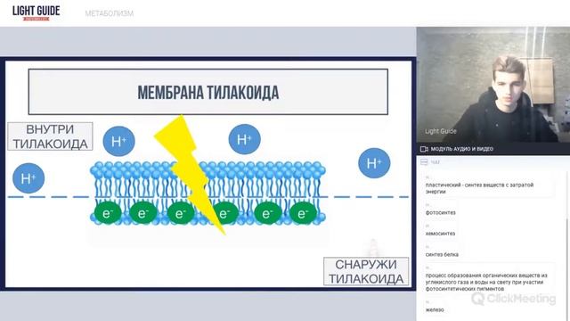 HIGHLIGHT: ФОТОСИНТЕЗ смотреть онлайн