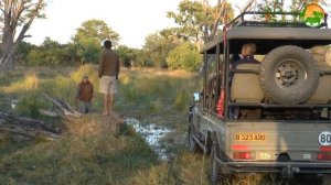 16-day Journey to Botswana (2014)