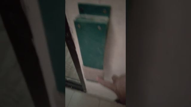 Кот позвонил в дверь смотреть онлайн