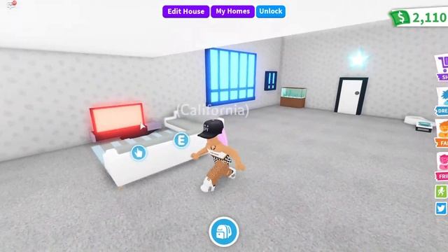 New pets update in Adopt me getting the safari pets!!ROBLOX!!!! смотреть онлайн