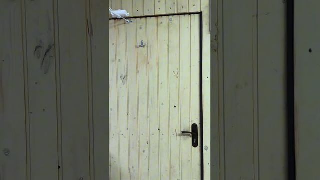 28 сентября 2023 г. смотреть онлайн