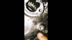 Isuzu D,Max 2.5 TD  4JA1 2005 Model Remove And Installing  Fuel Injection Pump Tutorial