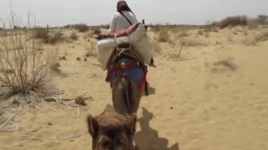 Indian Camel Safari in Rajasthan (Great Thar Desert outside Jaisalmer)