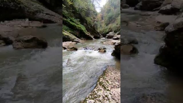 VID-20241019-WA0051.mp4