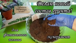 Делаю новый состав грунта для фитильного полива и сажаю в него фиалку)