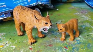 EPIC ANIMALS Famiglie Selvagge 🐊🦁 Arex e Vastatore si innamorano dei cuccioli!