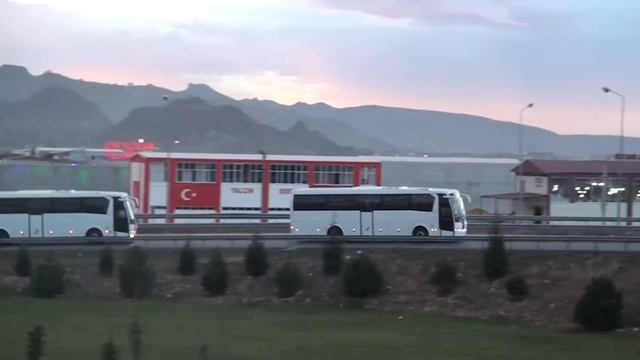TEMSA BUSES
