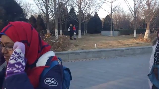 Beijing Opera House смотреть онлайн