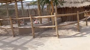 Sharjah safari park#Sharjahvlogs