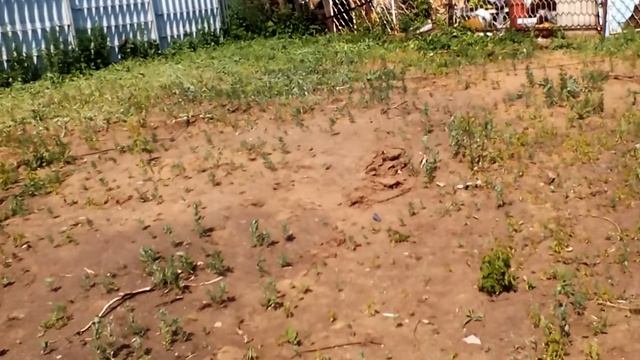 Каркасный дом подготовка участка смотреть онлайн