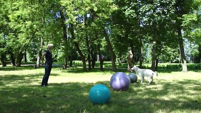 Надежда и БШО Алькор тренировка трейббол 2 смотреть онлайн