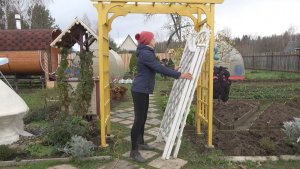 6 соток 25 октября 2024 года. Хроника.