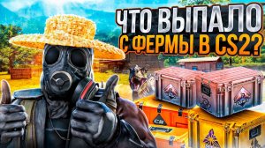НЕДЕЛЬНЫЙ ДРОП ФЕРМЫ CS2 #5 | СТАТИСТИКА ФАРМА КЕЙСОВ КС | СКОЛЬКО МОЖНО ЗАРАБОТАТЬ НА ПРАЙМЕ STEAM