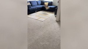 Забавные животные№120