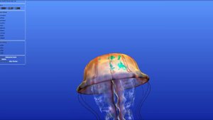 WebGL Demo Jellyfish M-Seven World In A Raindrop