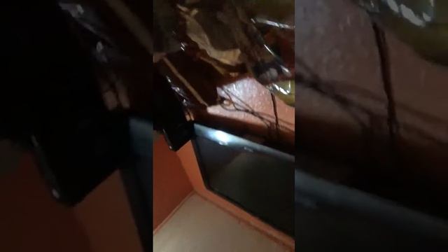 Grwm for school смотреть онлайн