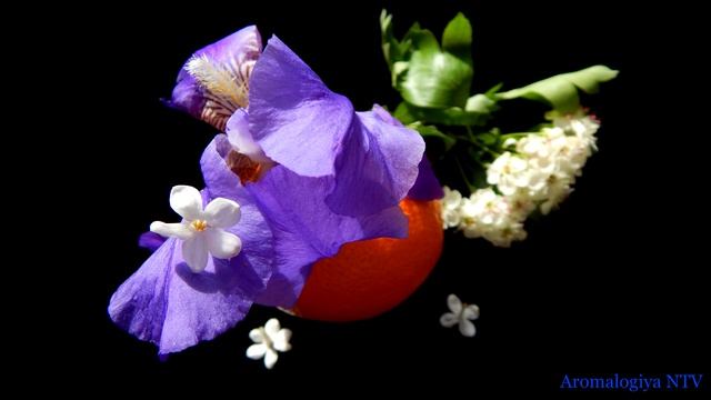 Лечебная музыка Михаила Глинки 🌿 Гармония и Равновесие.