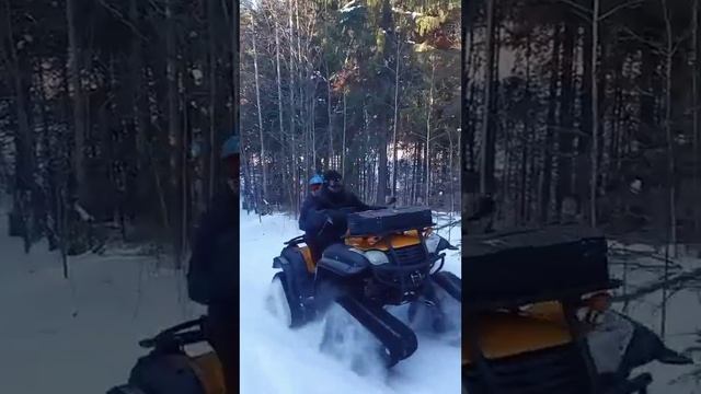 Катаемся на гусеничном квадроцикле и снегоходах.