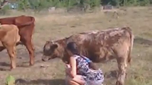 Аргентина. Недоуздок - занятие 1 смотреть онлайн