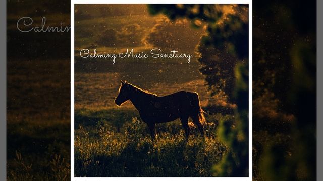 Buddha Zen смотреть онлайн