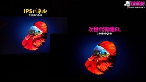 〇〇が桁違い！LG次世代有機ELの進化がエグい [39GS95QE-B][超猫拳]