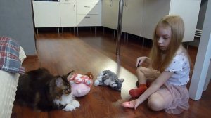 Когда родители уехали