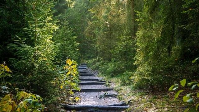 சபரிமலை பெரிய பாதை 27.12.21 | tamil | news today by chrome tech official channel смотреть онлайн