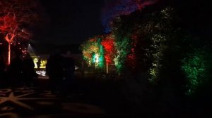 Enchanted @ Knowsley Safari Park | Amazing Animal Light Trail | 2021 | Pixel 6 Low Light