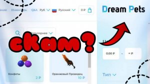 🤑 Проверка Сайта Dream Pets | *меня заскамили?...*