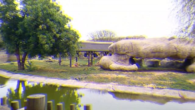 DUBAI SAFARI PARK ADVENTURE || Dubai Safari Park Full Tour