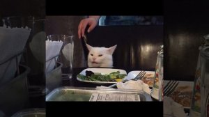 Рандомные мемы с котами :)