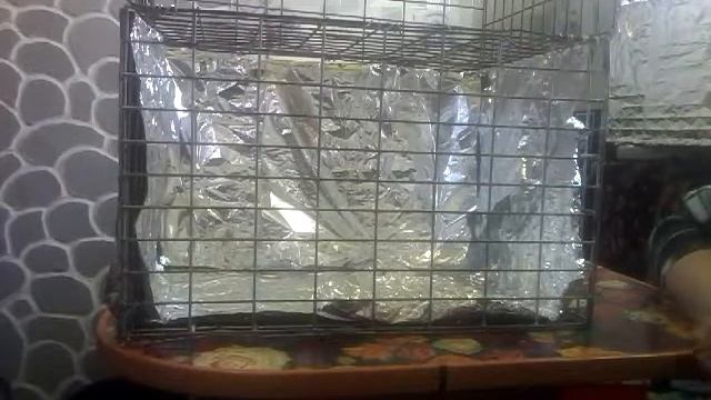 Бесплатная подсветка и полочка  для моих цветов