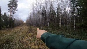 И снова в лес на поиски Металла/Нашёл небольшой тракторный стан