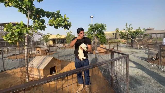 The Zoo Wild Life Park in umm al quwain/zoo inUAE/Umm Dubai #thezoowildlifepark #mrarbazpatel #duba смотреть онлайн