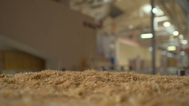 Perfecto Porte — орел или решка? смотреть онлайн