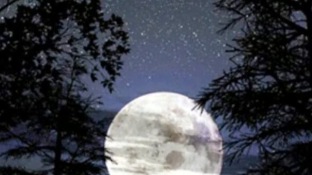 Gigliola Cinquete-Dio como ti amo смотреть онлайн