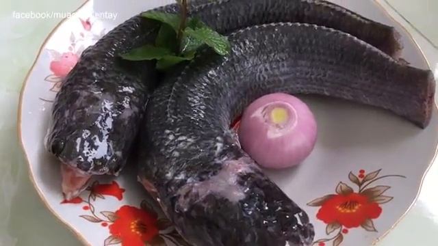 Пищевая искусство пищевые приключения Традиционная пища натуральные пищевые продукты удивительные б