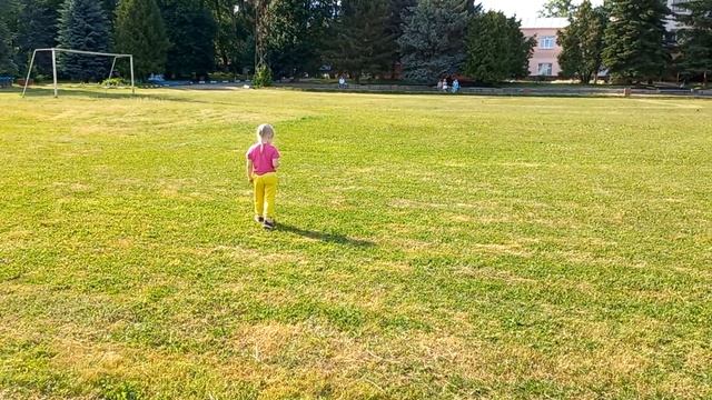 Русский той длинношерстный. Гуляют Мышка и Денди. смотреть онлайн