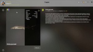 ПОТРАТИЛ 32000 СЕРЫ НА ЛОВЛЮ ОСЕТРА НА АХТУБЕ В РУССКОЙ РЫБАЛКЕ 4 РР4