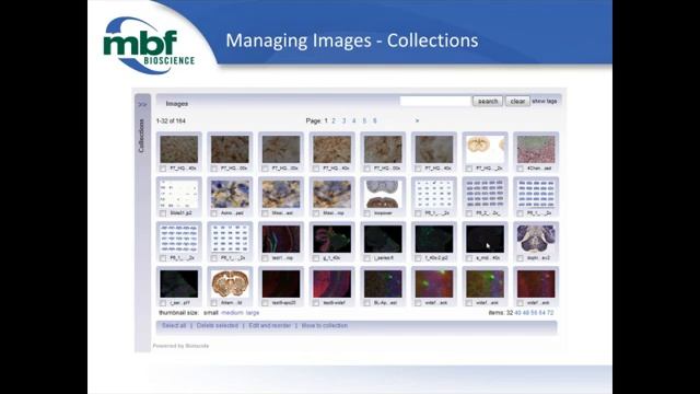 Webinar: Exploring Biolucida Cloud смотреть онлайн