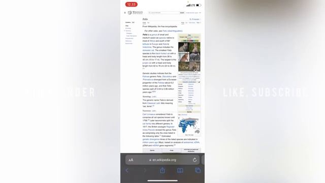 Add Bookmarks On Safari Browser