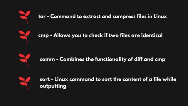 Top 50+ Linux Commands You MUST Know | #kalilinux #kalilinuxcommands #cybersecurity Ali tech