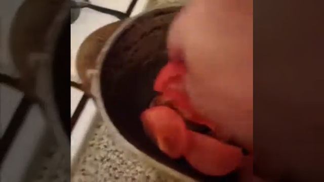 Баранина под овощами смотреть онлайн